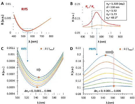 Figure  6.  The  calculated  reflectometric  interference  curves  for  (A)  the  conventional  and  (B)  the  polarization method, in the case of an n 1  = 1.52 and d = 110 nm thin film on SF10 substrate (n 2  = 1.73),  in aqueous medium, by applying an i