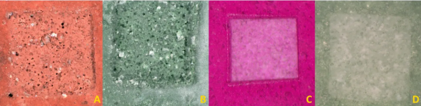 Fig. 2. The coating ﬁ lms treated by semiconductor laser: Sepi ﬁ lm PW White (A), PW Red (B), PW Green (C) and Sepi ﬁ lm Naturally Coloured Pink (D) and Green (E).