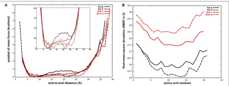FIGURE 4 | (A) The reweighted potential of mean force (PMF in kcal mol − 1 ) values calculated for end-to-end distance (in Å)