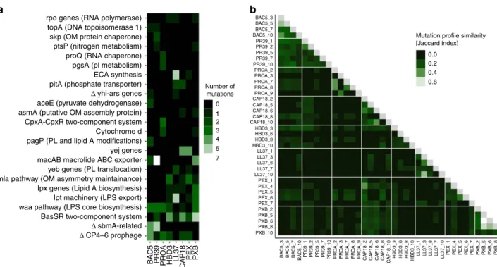 Fig. 4 Mutational pro ﬁ les of 38 AMP-resistant lines. a The ﬁ gure shows cellular complexes and pathways mutated independently in multiple lines as a function of AMPs used during laboratory evolution