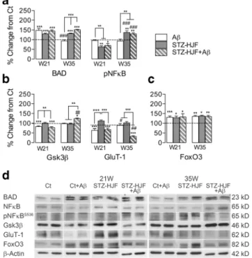 Fig. 10b). However, as both increase in expression of mTOR and Gsk3β were not modified by EE (see Fig