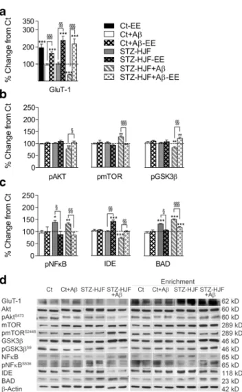 Fig. 11 Beneficial effect of environmental enrichment (EE) on proteins regulated by different treatments