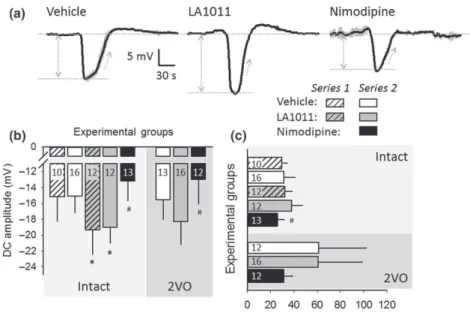 Figure 5b). In contrast, acutely applied nimodipine significantly decreased SD amplitude (Series 2)