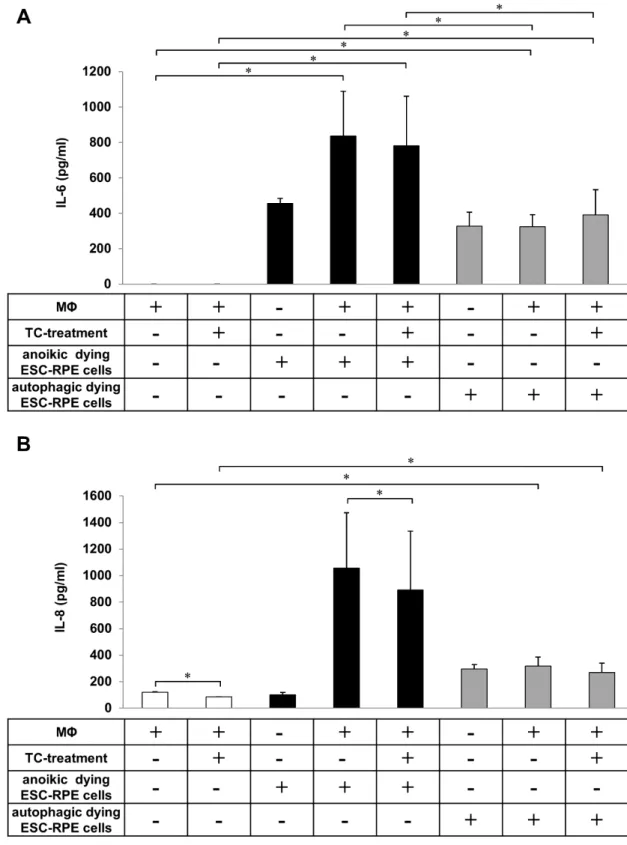 Figure 5. Determination of IL-6 and IL-8 release during the engulfment of anoikic and  autophagy-associated dying hESC-RPE cells by macrophages