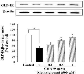 Figure 4. CHA79 up-regulated the expression of GLP-1R in MG-treated SH-SY5Y dopaminergic  neurons