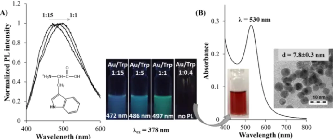 Figure 1. (A) The normalized fluorescence spectra (λ ex  = 378 nm) of L-tryptophan gold nanoclusters  (Trp-Au NCs) with the photos of aqueous dispersions under UV-light