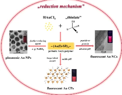 Figure 4. Schematic illustration on the formation mechanisms of different Au nanohybrid systems via  interaction of tetrachloroaurate(III) ions with thiolate ligands