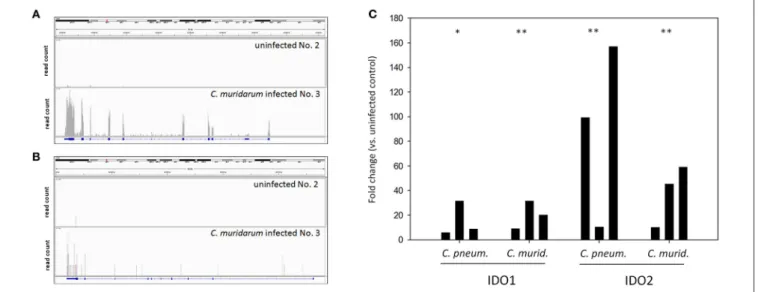 FIGURE 3 | IDO1 and IDO2 mRNA expression measurements by RNA-Seq and qPCR. Integrative Genomics Viewer (Thorvaldsdóttir et al., 2013) images showing the coverage of IDO1 (A) and IDO2 (B) genes by sequencing reads in a representative C