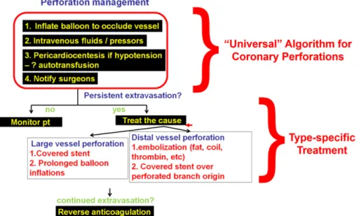 FIGURE 3 Algorithm for the management of coronary perforations. Reproduced with permission from Brilakis ES