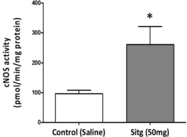 Figure 8. Increase in nitric oxide synthase activity (cNOS (n = 8)) in ischemic cardiac tissues from Sitagliptin (Sitg (50 mg)) treated group compared to Control (* p &lt; 0.05)