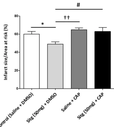 Figure 10. Loss of cardioprotective effect mediated by TRPV-1 and increase in infarct size with intraperitoneal injection of TRPV-1-inhibitor (Capsazepine), Infarct size expressed in (%)