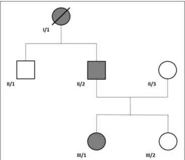 FIGURE 1 | Family tree of the affected family. We have examined patient II/2 and III/1