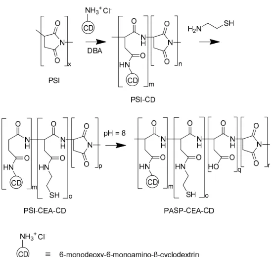 Figure 1. Synthesis of thiol and cyclodextrin functionalized poly(aspartic acid). 