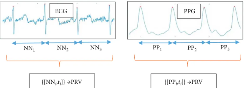 Figure 1: Connection between HRV and PRV analysis. From the ECG signal, the NN intervals (time durations) are determined, with the corresponding timestamps