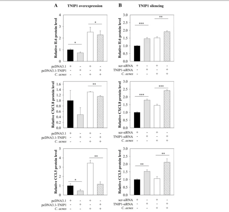 FIGURE 3 | Effects of TNIP1 levels on secretion of pro-inflammatory cytokine and chemokine