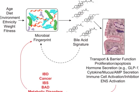 FIGURE 4. Bile acid/microbial interactions in regula- regula-tion of intestinal physiology and pathophysiology