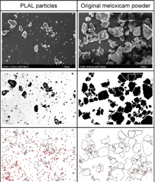Fig. 1. Steps for determination of the particle size distribution from SEM images using image  processing software (for details see text)
