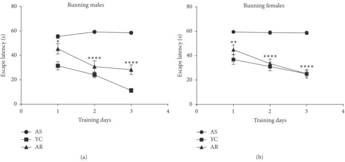 Figure 1: Effect of recreational exercise on Morris Water Maze performance. AS, aged sedentary; AR, aged running; YC, young control