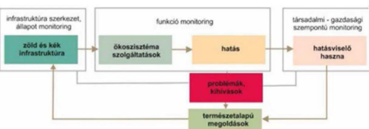 1. ábra: A  zöld és kék infrastruktúra, valamint az általuk nyújtott szolgáltatások és hatásuk monitoringja Monitoring léptéke: