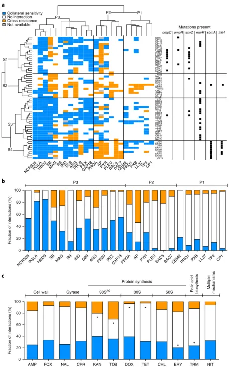 Fig. 1 | Susceptibility profiles of 60 laboratory-evolved antibiotic-resistant E. coli strains