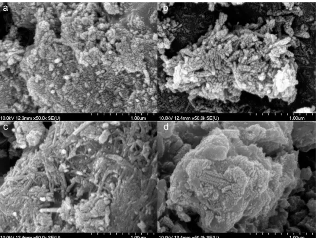 Figure  2.  Scanning  electron  micrographs  of  the  diltiazem  hydrochloride  (DiltTi)  (a),  diclofenac  sodium (DicTi) (b), atenolol (ATNTi) (c) and hydrochlorothiazide (HCTTi) (d) composites