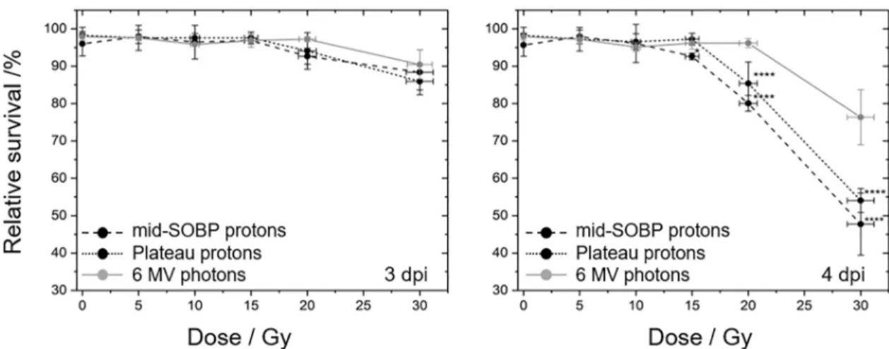 Fig 3. Radiation quality and dose dependent zebrafish survival curves. Zebrafish embryo survival rates at 3 rd (left) and 4 th (right) dpi with plateau (black, dotted) and mid-SOBP (black, dashed) protons relative to the survival after 6 MV photon referenc