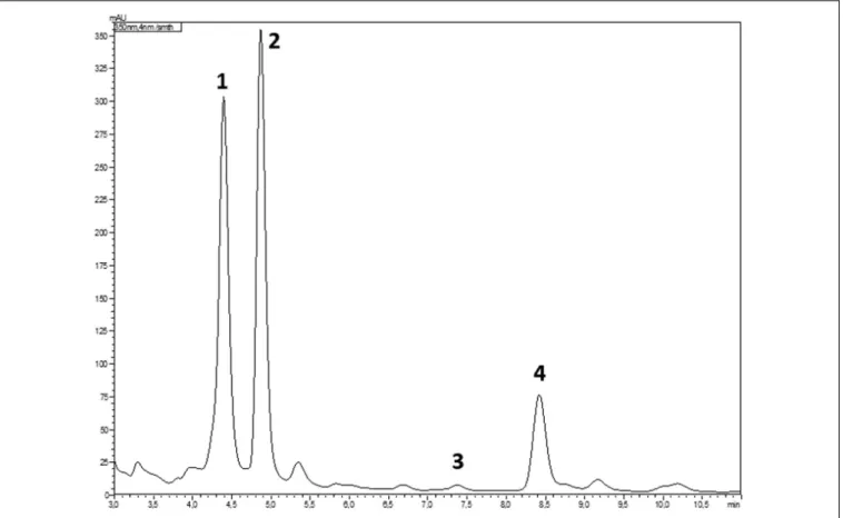FIGURE 1 | HPLC chromatogram of the crude RC extract with the peaks of luteolin (1), eupafolin (2), apigenin (3), and hispidulin (4) (344 nm).