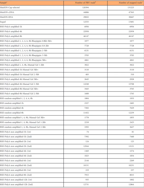 Table 1. Summary of the obtained read counts from long-read sequencing aligned to the PRV genome