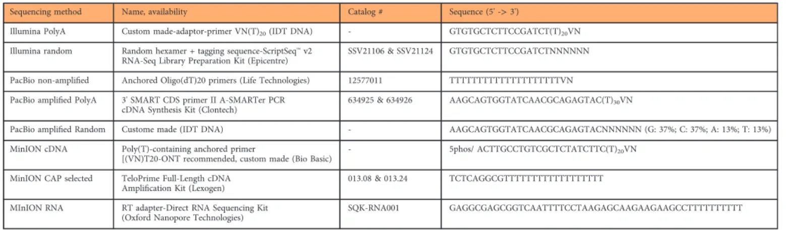 Table 5. The list of primers used in this study for the reverse transcription reactions.