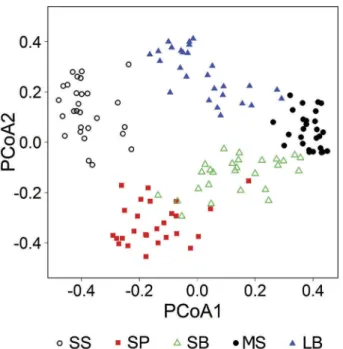 Figure 4. Average cover values of the distinguished species groups in the ﬁ ve forest-steppe habitat types