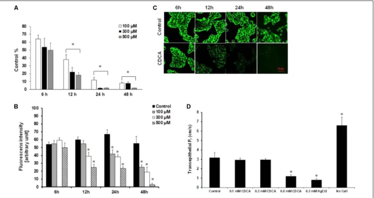 FIGURE 4 | Effect of chenodeoxycholic acid on the expression and activity of AQP1. (A) Capan-1 cells were treated with chenodeoxycholic acid (CDCA) for 6, 12, 24, and 48 h and the relative gene expression of AQP1 was investigated by real-time PCR