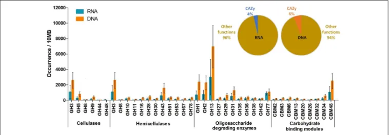 FIGURE 3 | Glucoside hydrolase enzyme families identified in the DNA and RNA datasets, respectively