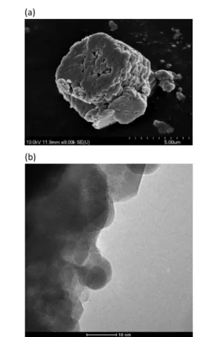 Fig. 5 The SEM (a) and the high-resolution TEM (b) images of the AgBi HM. (SEM – scanning electron microscopy, TEM – transmission electron microscopy.)