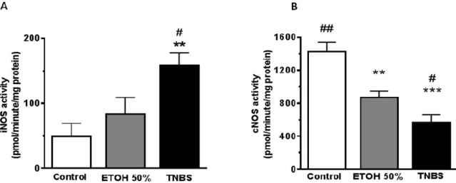 Figure 3: Colon tissue inducible nitric oxide synthase (iNOS) and constitutive nitric oxide synthase (cNOS) activities  measured by enzyme conversion