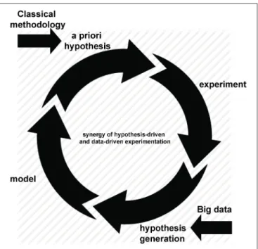 FIGURE 1 | The synergistic cycle of hypothesis-driven and data-driven experimentation.