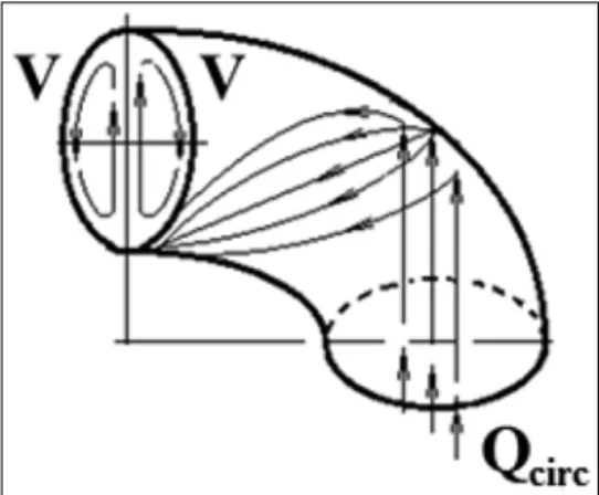 Fig. 6. The mechanism of formation of  two mated torus vortices in the outlet