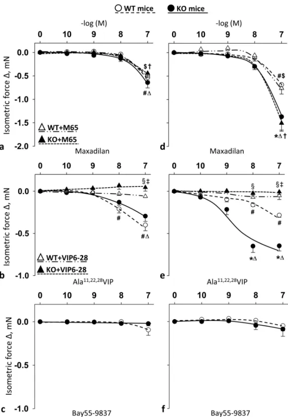 Fig 5. Vasomotor effect of cumulative dose-dependent administration of: Maxadilan (a); Ala 11,22,28 VIP (b); and Bay55- Bay55-9837 (c) in carotid artery; and Maxadilan (d); Ala 11,22,28 VIP (e); and Bay55-9837 (f) in femoral artery of wild type (WT) and PA