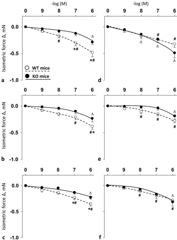 Fig 2. Vasomotor effect of cumulative dose-dependent administration of: PACAP1-38 (a); PACAP1-27 (b); and VIP (c) in carotid artery; and PACAP1-38 (d); PACAP1-27 (e); and VIP (f) in femoral artery of wild type (WT) mice and PACAP knockout (KO) mice