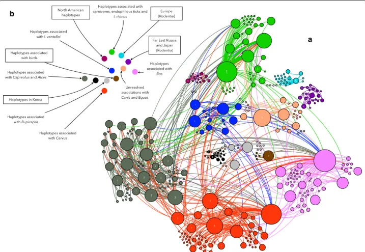 Fig. 2  a The network of the communities of A. phagocytophilum haplotypes, as linked to carriers (ticks or vertebrates)