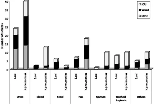 Figure 1. Distribution of K. pneumoniae and E. coli in different sample types and location