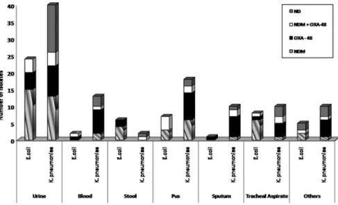 Figure 2. Distribution of carbapenemase in E. coli and K. pneumoniae and various sample types