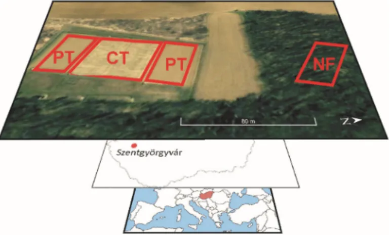 Figure 1. Location of the study site with ploughing tillage (PT) and conservation tillage (CT) plots and the native forest (NF) site.