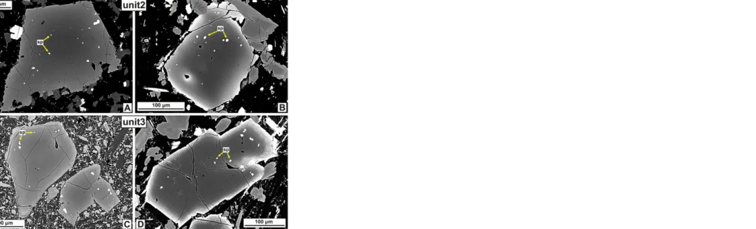 Fig. 6  Olivine crystals from the unit 2 and 3 samples (BSE images): they are uniform, characterized by simple progressive normal zoning and frequently contain spinel (sp) inclusions throughout