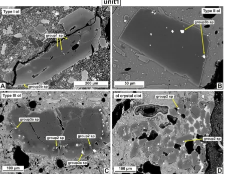 Table 2 Representative analyses of the studied olivine-hosted spinel inclusions from the three eruptive units.