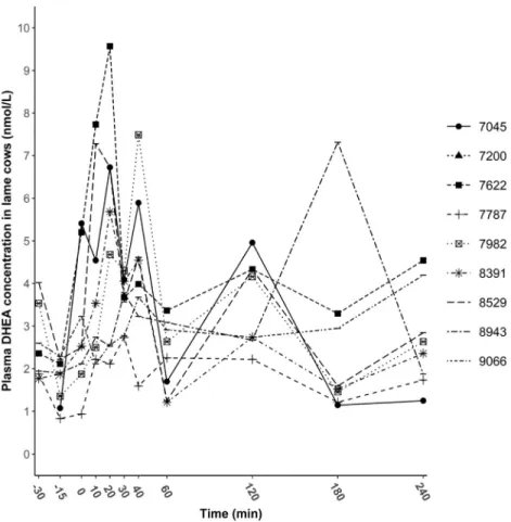 Fig. 6. Individual plasma dehydroepiandrosterone concentrations of lame cows before 30 min and during a 240-min sampling period following the ACTH administration (at 0 min)