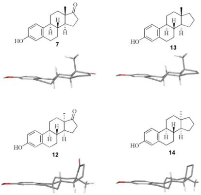 Figure 1. The structure of 13-epimeric estrones (7 and 12) and their 17-deoxy counterparts (13 and 14)