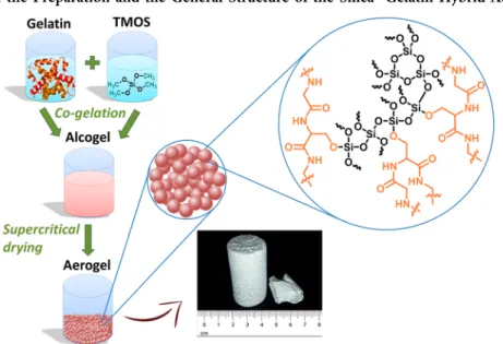 Scheme 1. Illustration of the Preparation and the General Structure of the Silica − Gelatin Hybrid Aerogels a