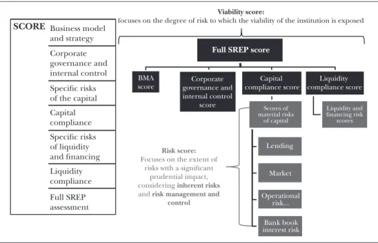 Figure 3: Risk and viability assessment