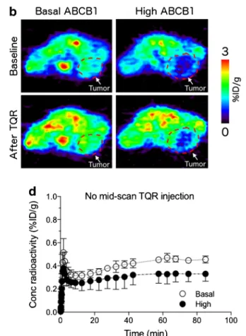Fig. 3 [ 18 F]AVT-011 can detect ABCB1 function in an orthotopic mouse model of breast cancer, as assessed by PET imaging
