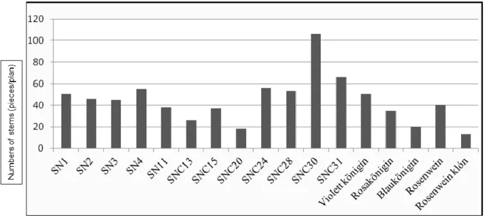 Figure 6. Stem development tendency of woodland sage botanical variations and cultivars in 2014 (pieces/plant) 